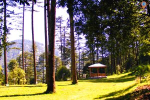 Dhanaulti
